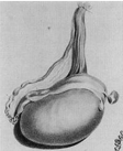 image081