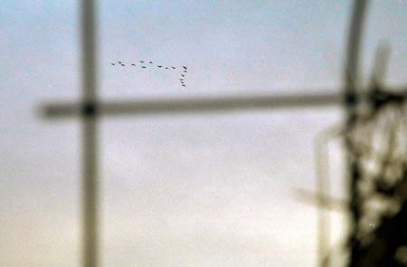 flug