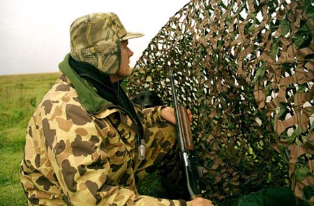 veidi9
