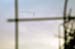flug